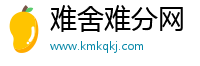 难舍难分网